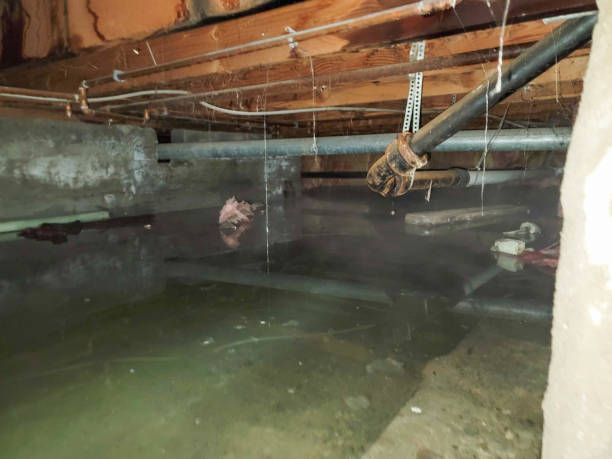 Best Water damage restoration near me  in Jourdanton, TX