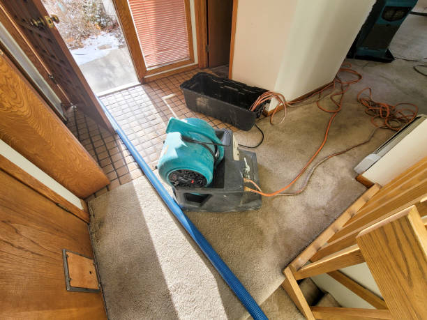 Best Ceiling water damage repair  in Jourdanton, TX