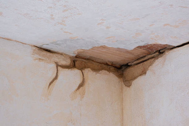 Best Commercial water damage restoration  in Jourdanton, TX