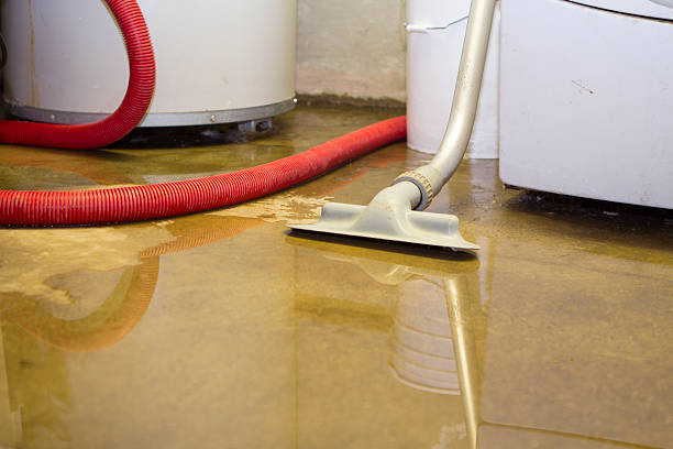 Jourdanton, TX Water damage restoration Company