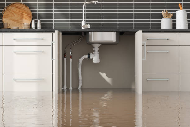 Best Flood restoration services  in Jourdanton, TX